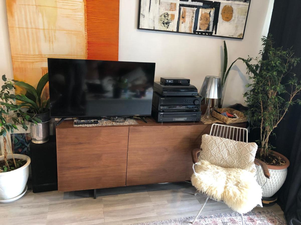 Cool Apartment, Central To Everything, Share With 2X Bulldogs Auckland Buitenkant foto